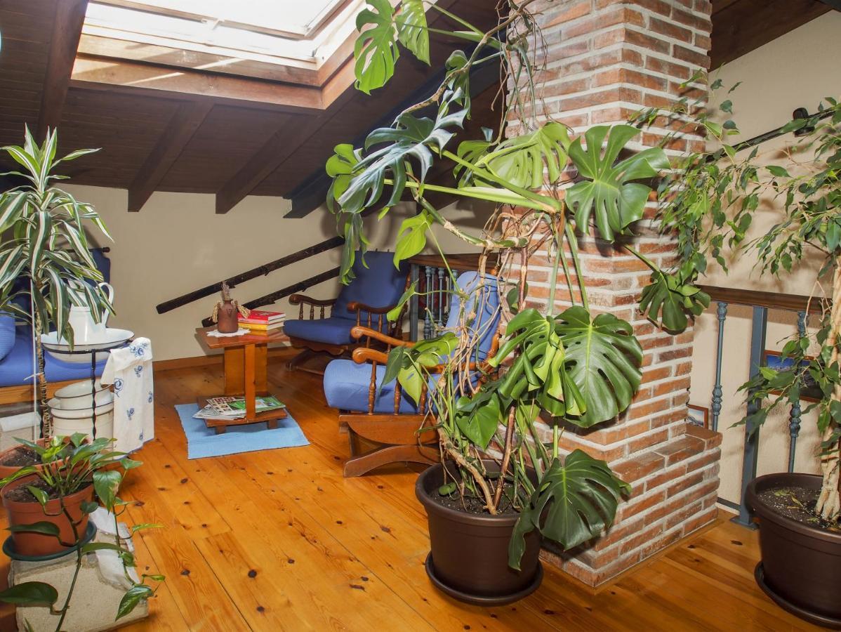 Casa De La Montana Albergue Turistico Avín Extérieur photo